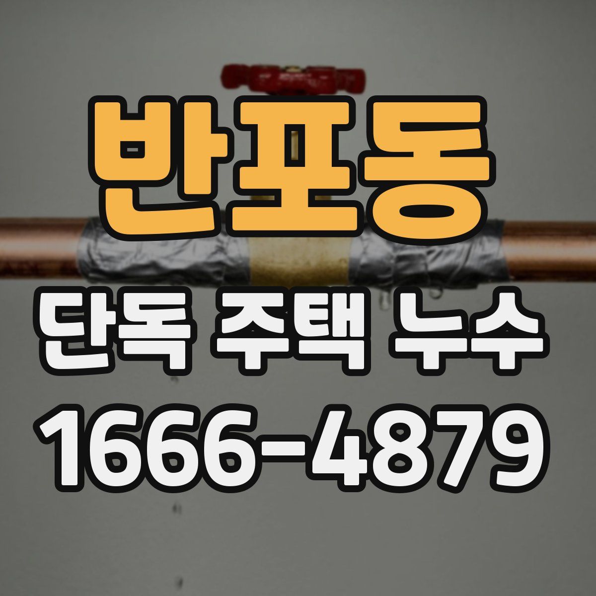 반포동 단독 주택 누수