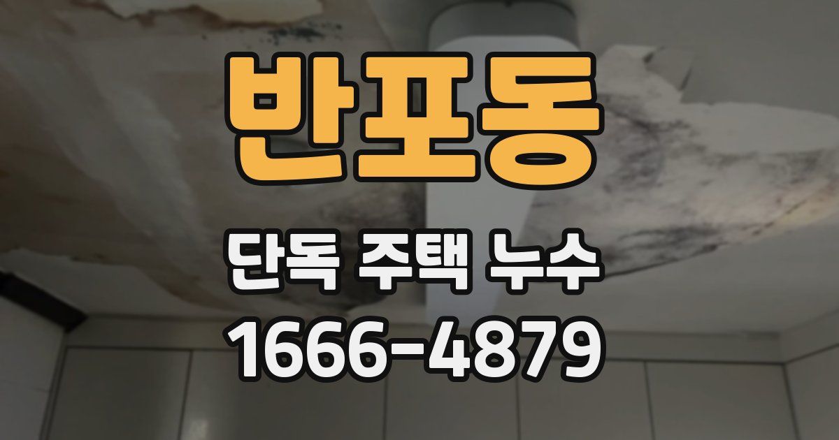 반포동 단독 주택 누수