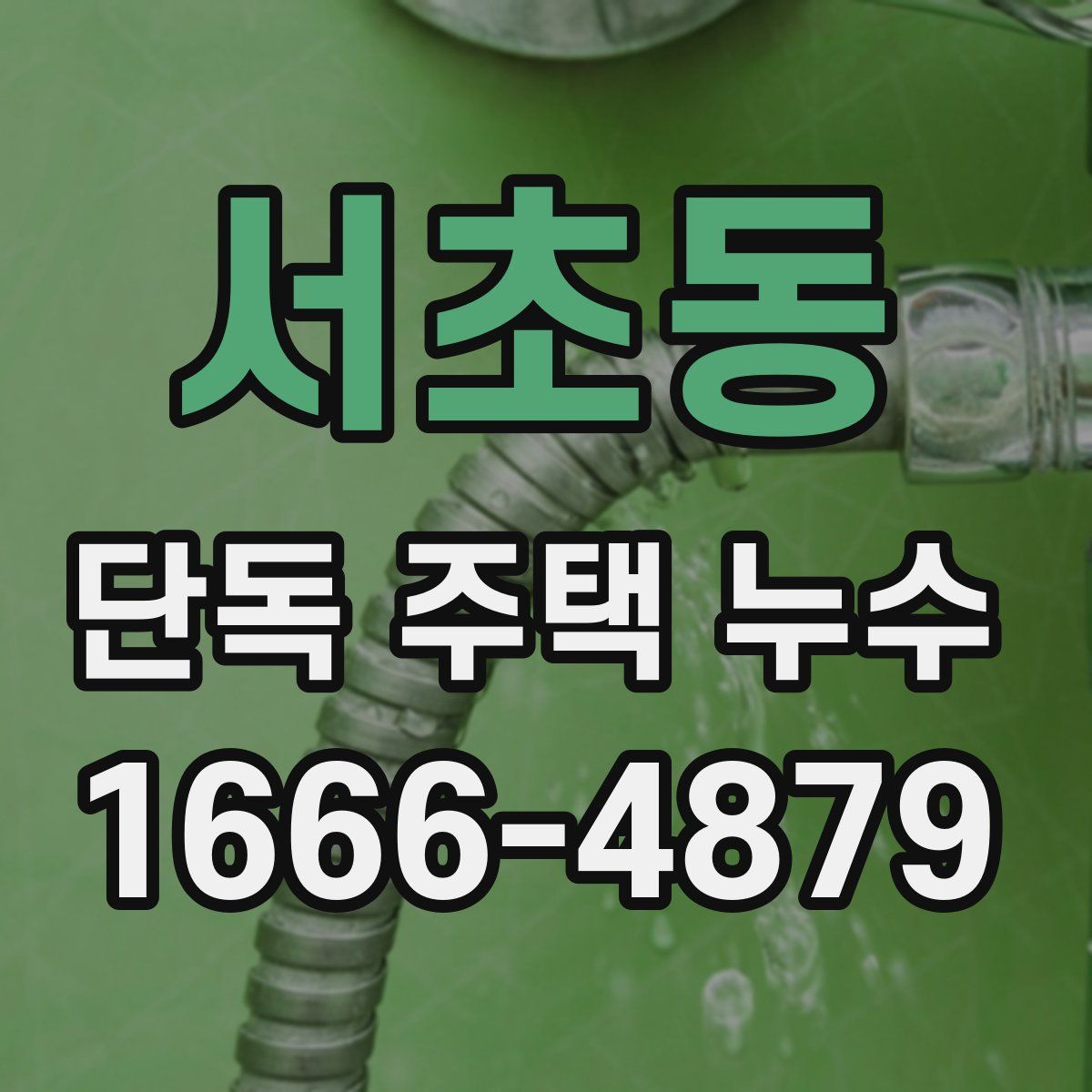 서초동 단독 주택 누수