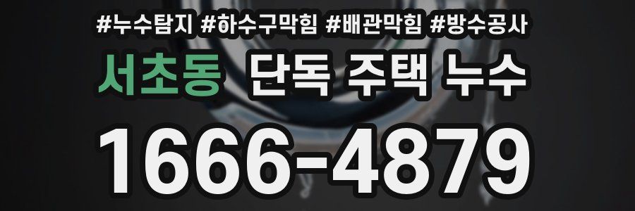 서초동 단독 주택 누수