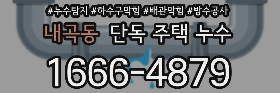 내곡동 단독 주택 누수