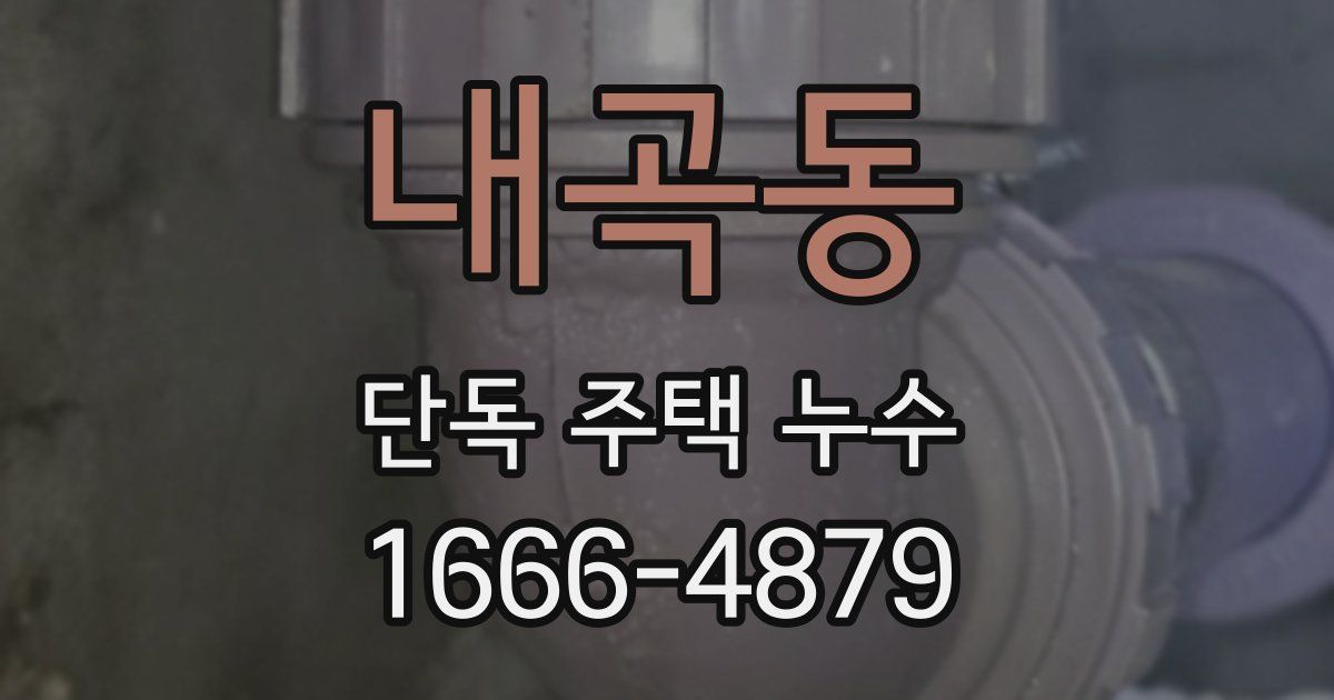 내곡동 단독 주택 누수