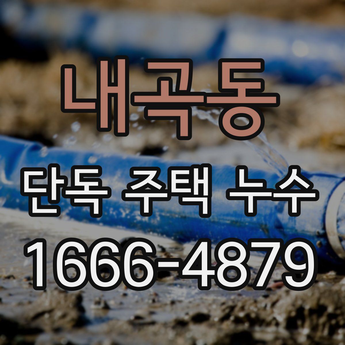 내곡동 단독 주택 누수