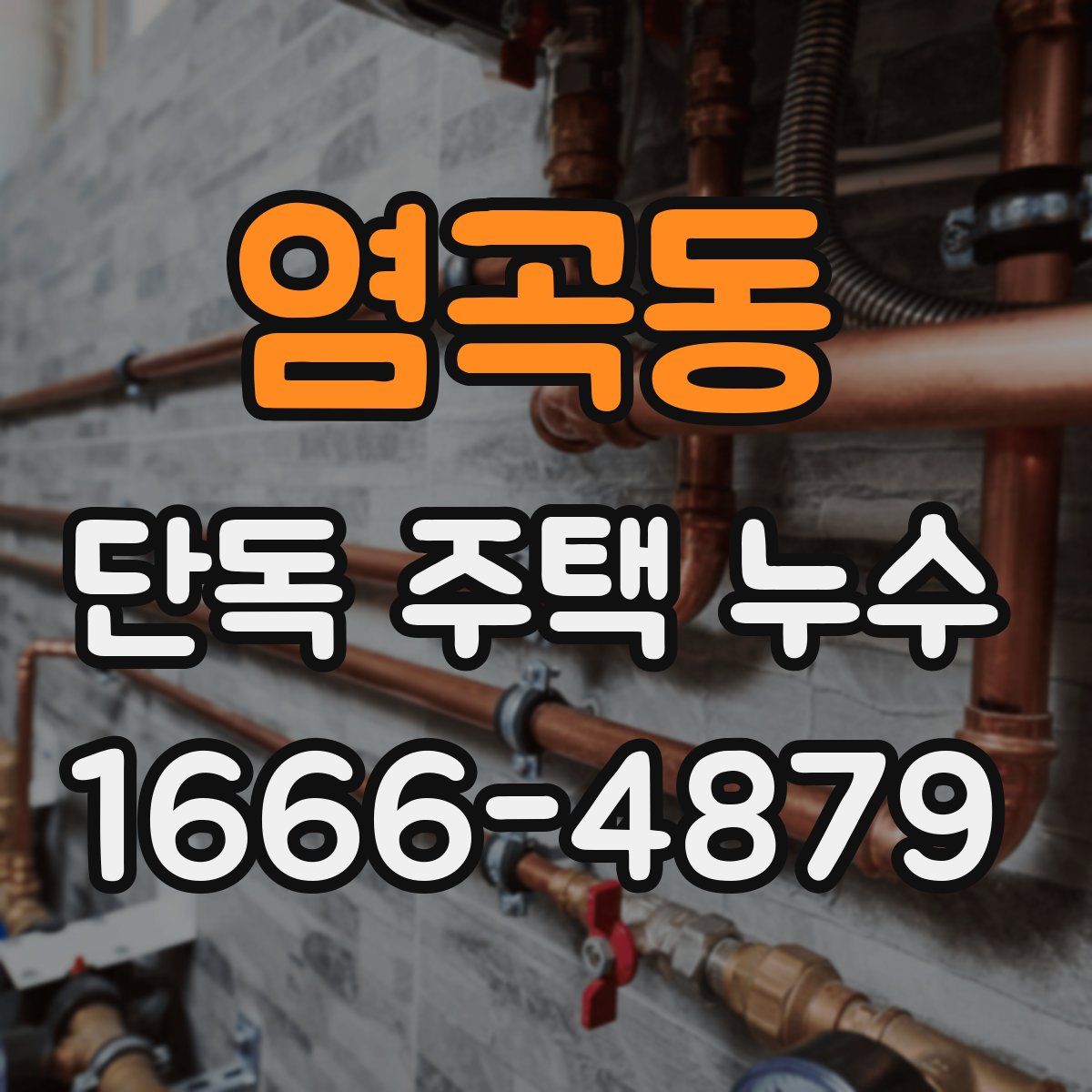 염곡동 단독 주택 누수
