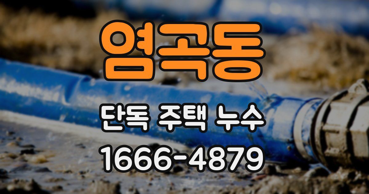 염곡동 단독 주택 누수