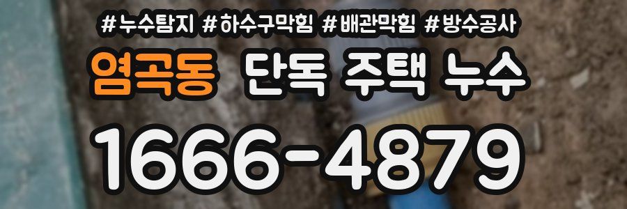 염곡동 단독 주택 누수