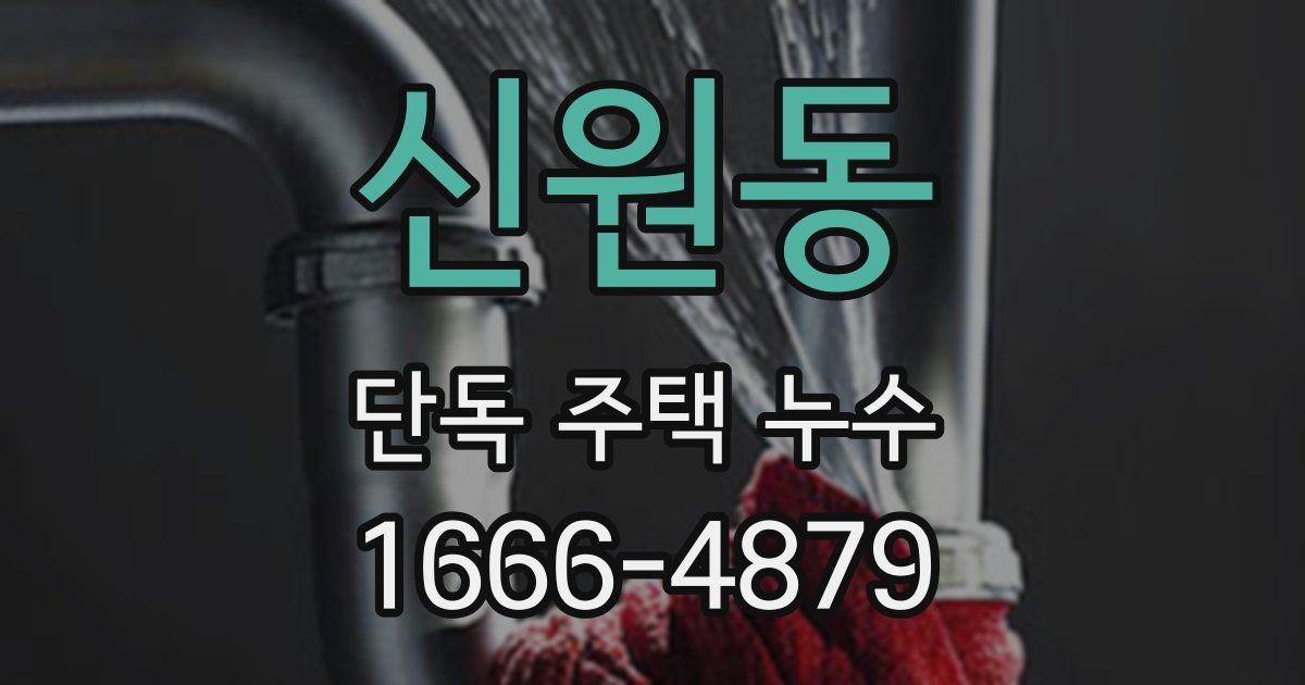 신원동 단독 주택 누수