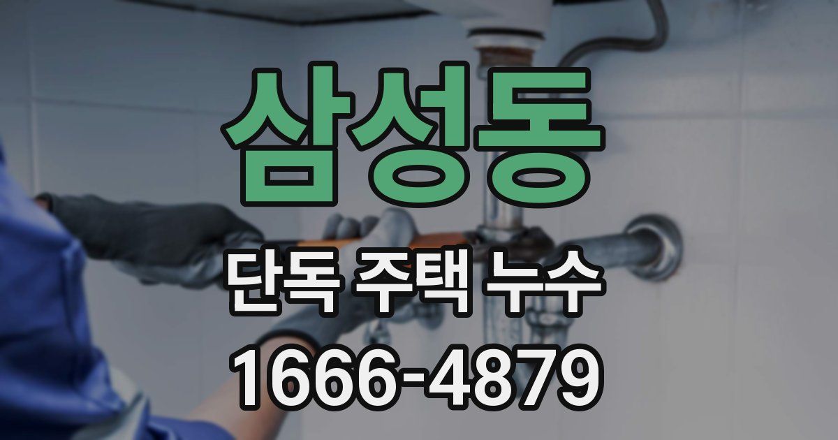 삼성동 단독 주택 누수