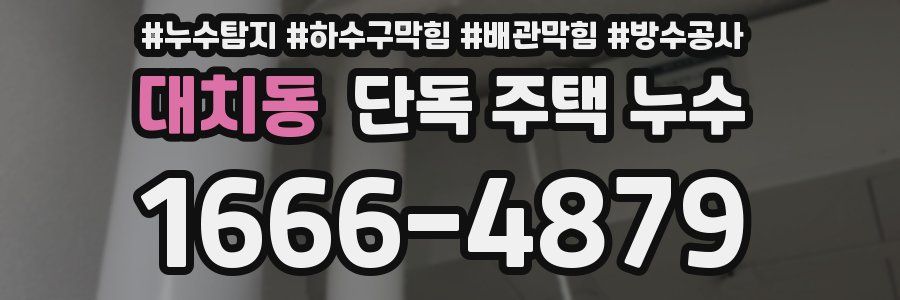 대치동 단독 주택 누수