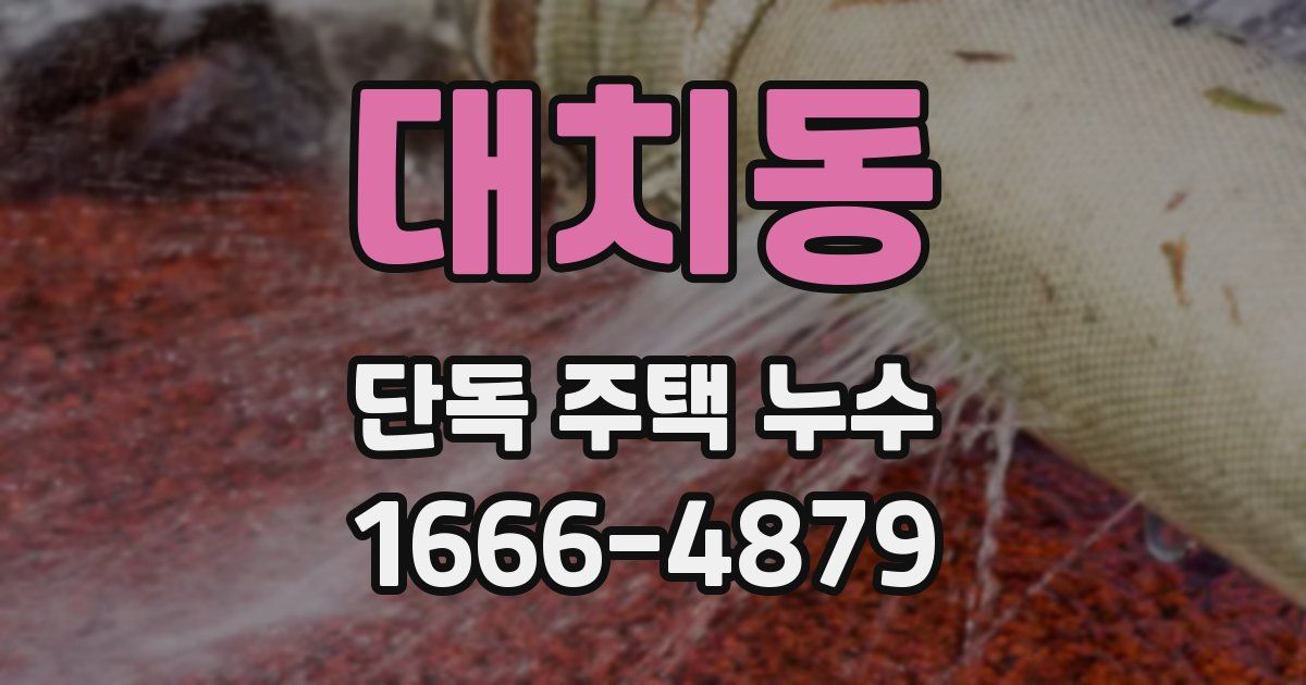 대치동 단독 주택 누수