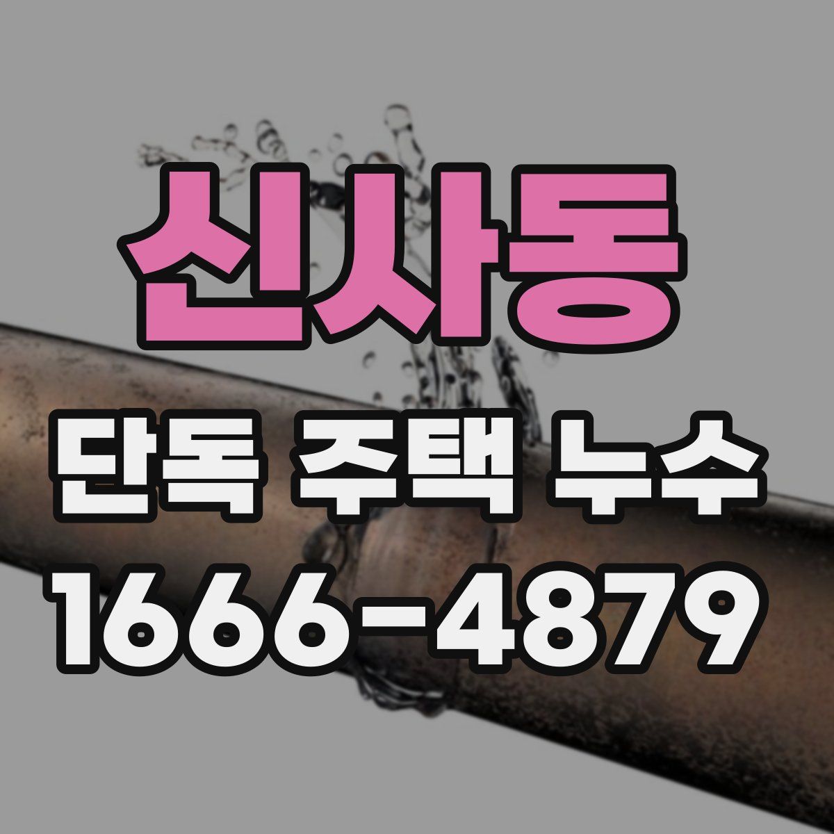 신사동 단독 주택 누수