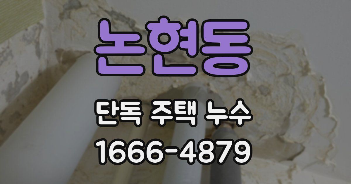 논현동 단독 주택 누수