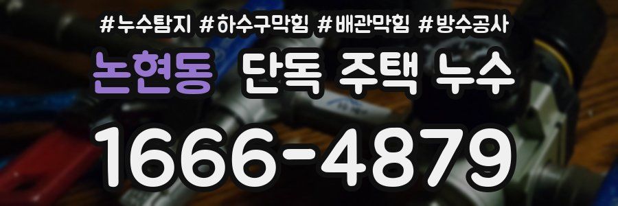 논현동 단독 주택 누수
