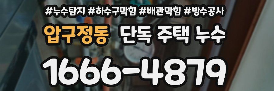 압구정동 단독 주택 누수