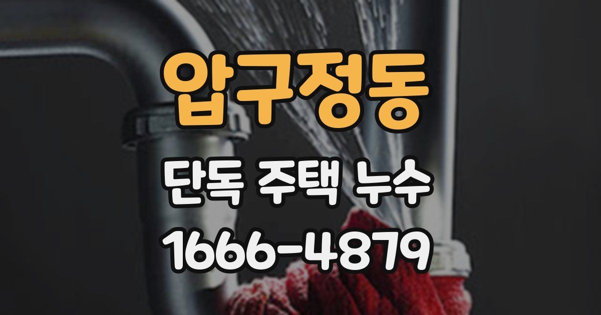 압구정동 단독 주택 누수