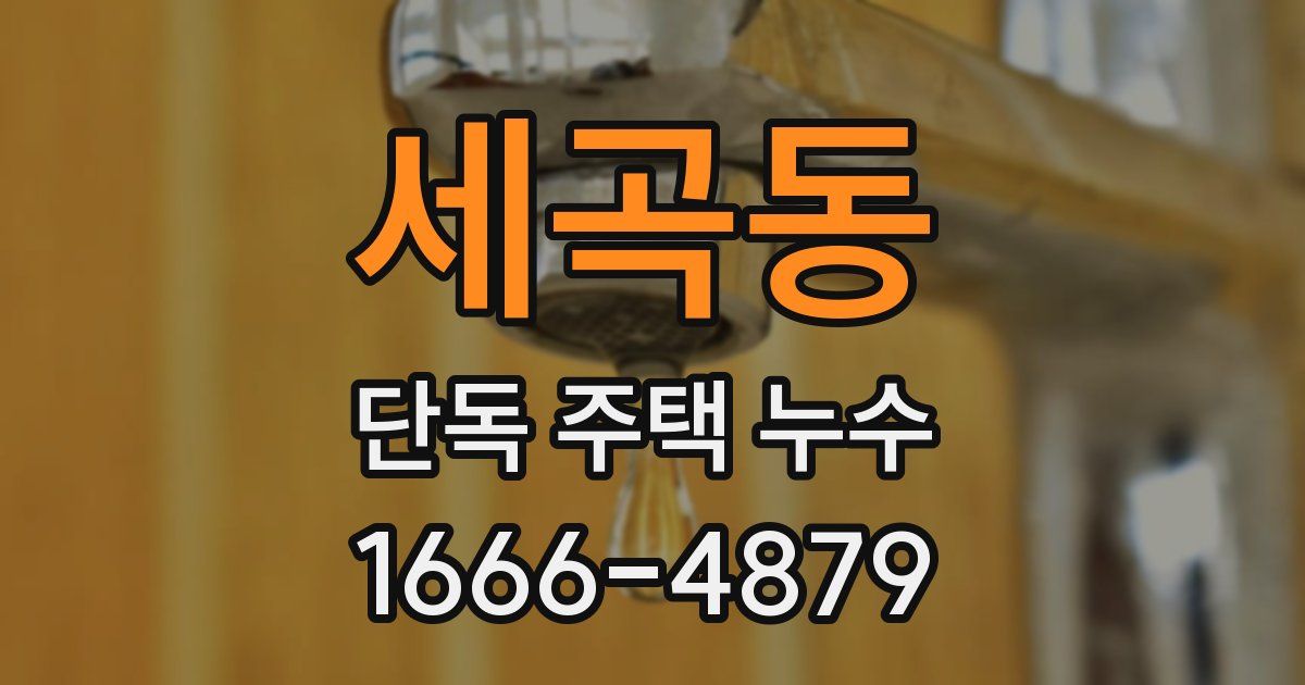세곡동 단독 주택 누수