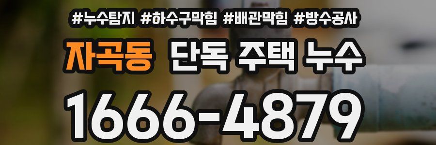 자곡동 단독 주택 누수
