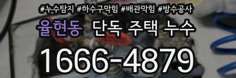 율현동 단독 주택 누수