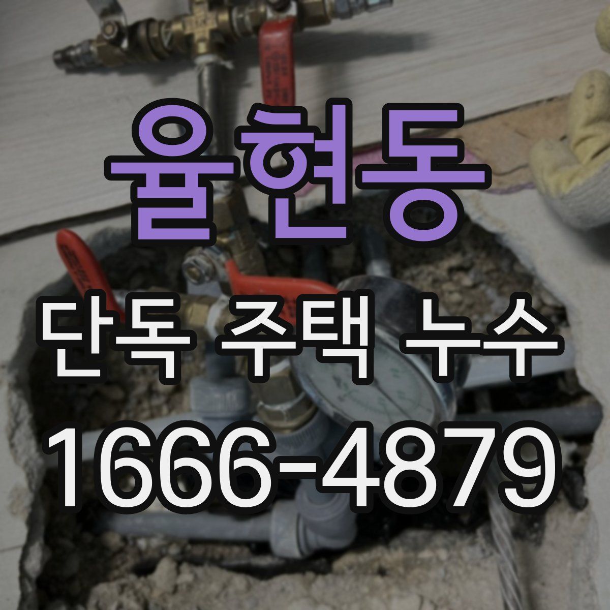 율현동 단독 주택 누수