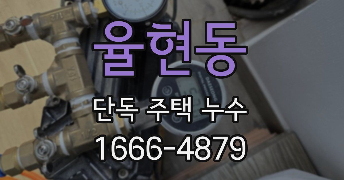 율현동 단독 주택 누수