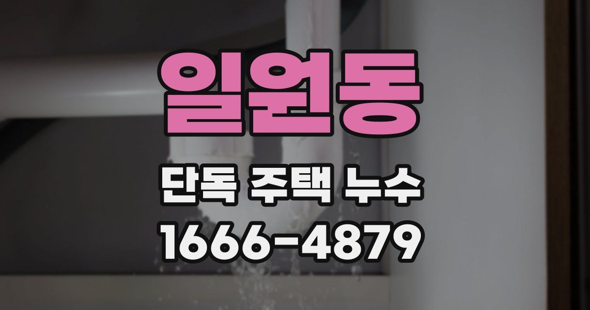 일원동 단독 주택 누수