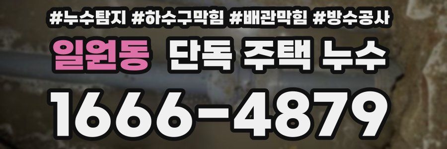일원동 단독 주택 누수