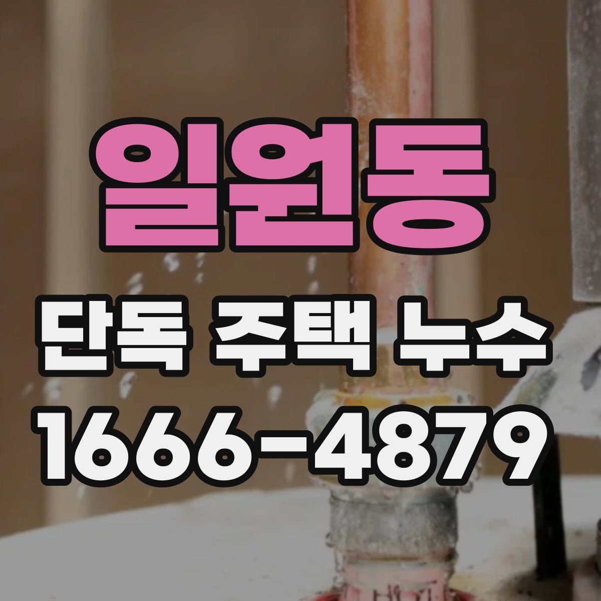 일원동 단독 주택 누수