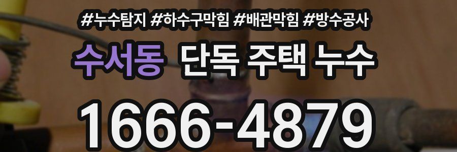 수서동 단독 주택 누수