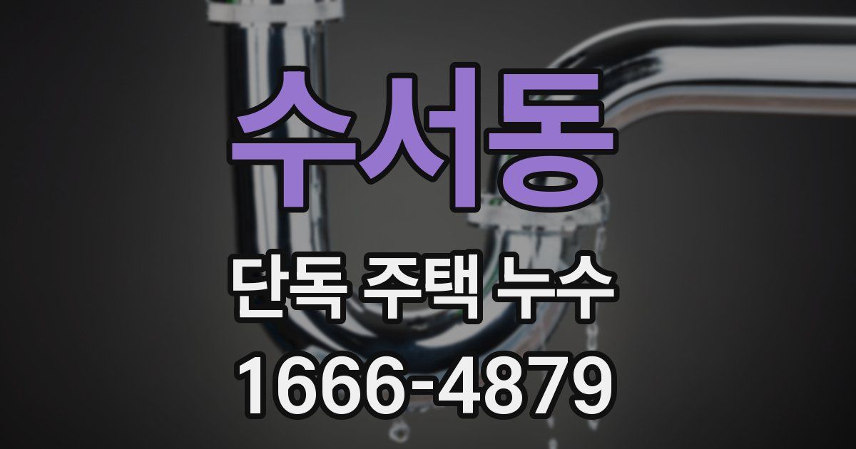 수서동 단독 주택 누수