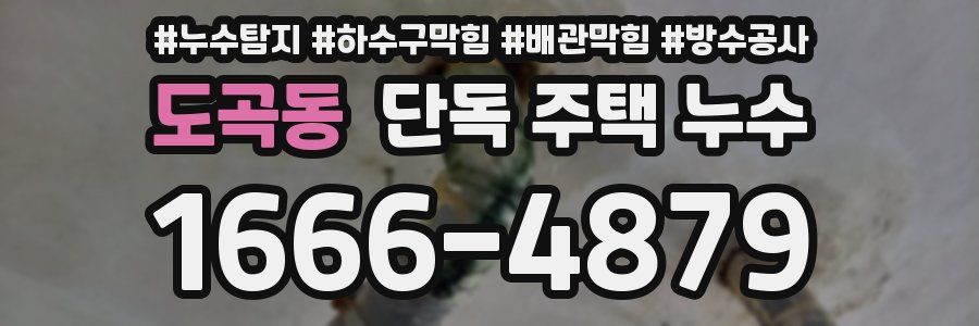 도곡동 단독 주택 누수