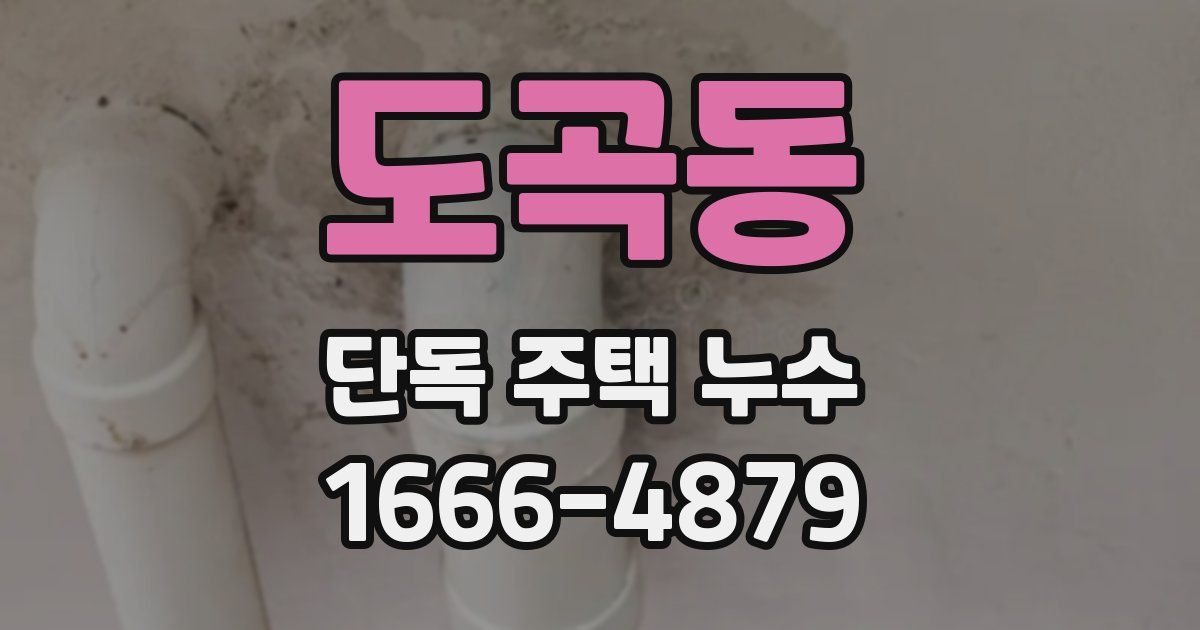 도곡동 단독 주택 누수