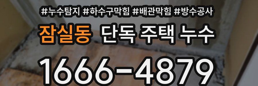 잠실동 단독 주택 누수