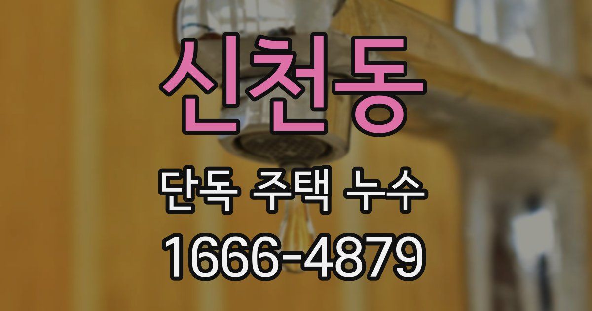 신천동 단독 주택 누수