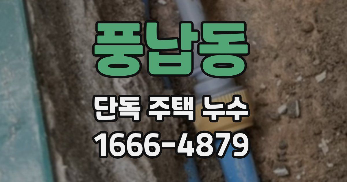 풍납동 단독 주택 누수