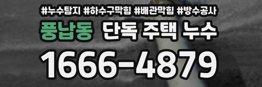 풍납동 단독 주택 누수