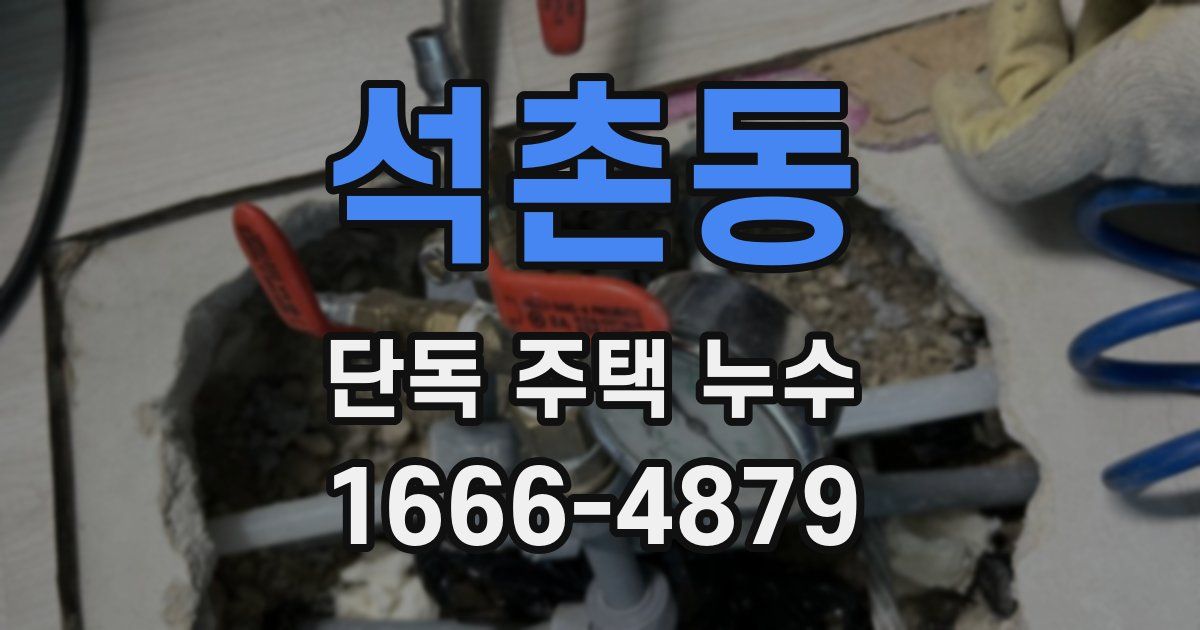 석촌동 단독 주택 누수