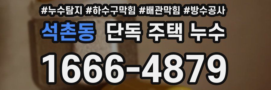 석촌동 단독 주택 누수