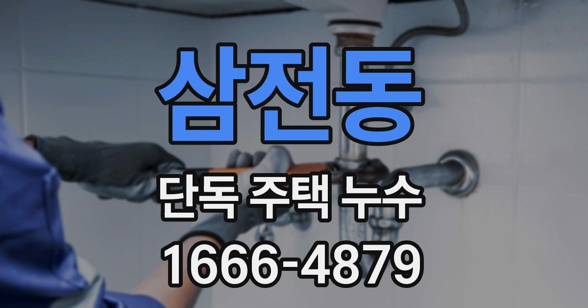 삼전동 단독 주택 누수
