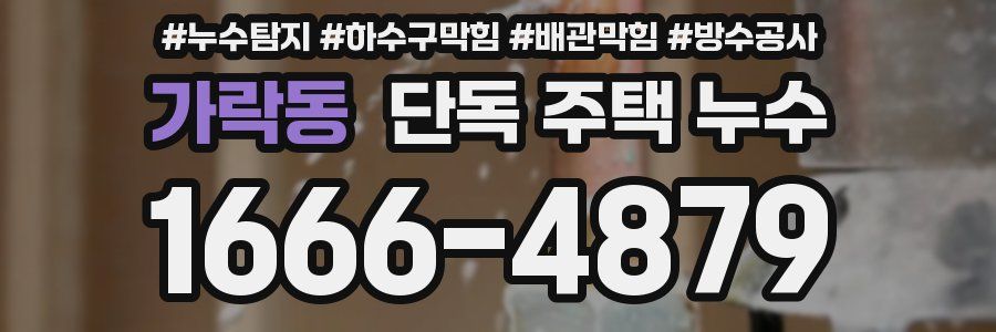 가락동 단독 주택 누수