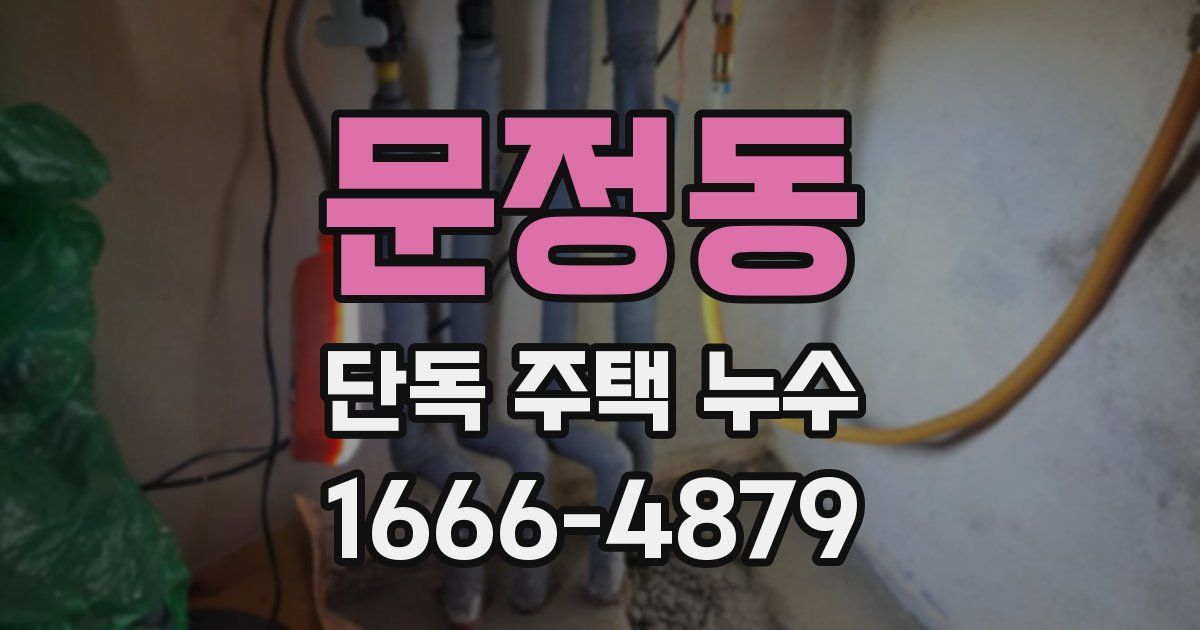 문정동 단독 주택 누수