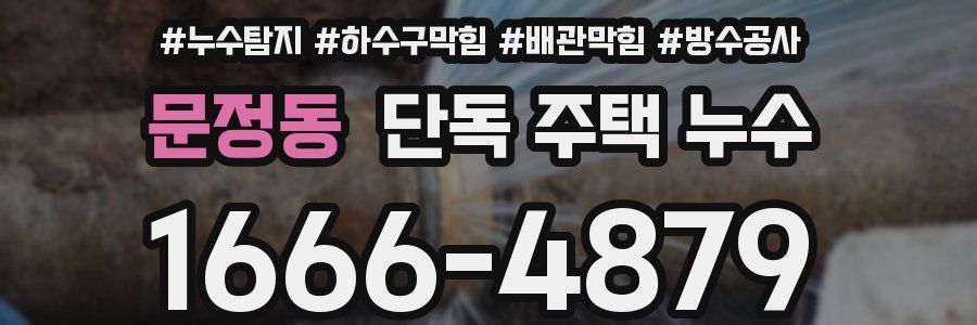 문정동 단독 주택 누수