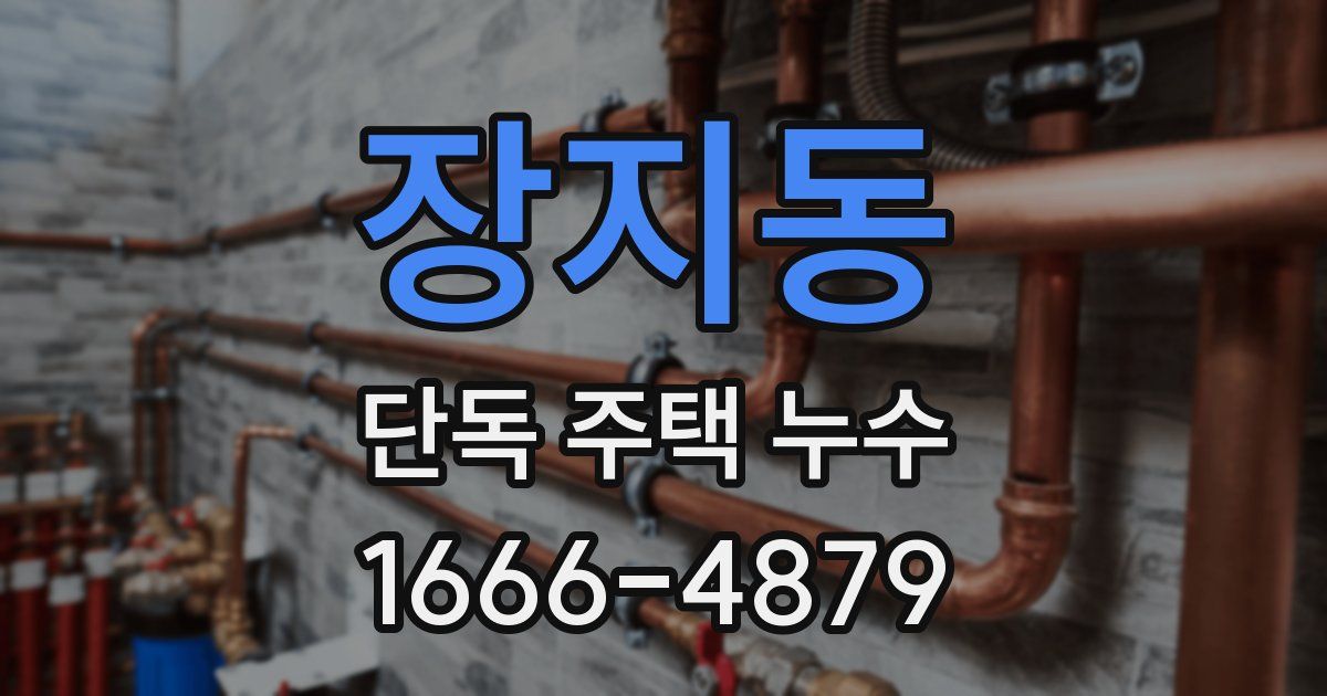 장지동 단독 주택 누수