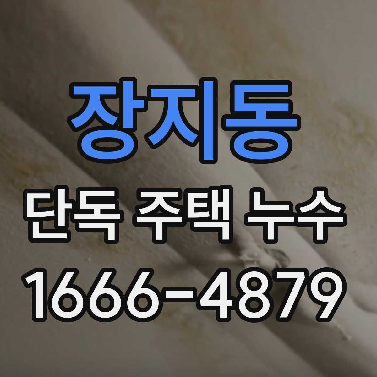 장지동 단독 주택 누수