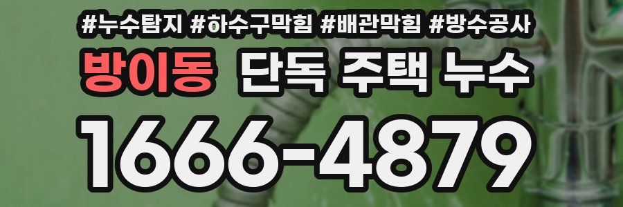방이동 단독 주택 누수