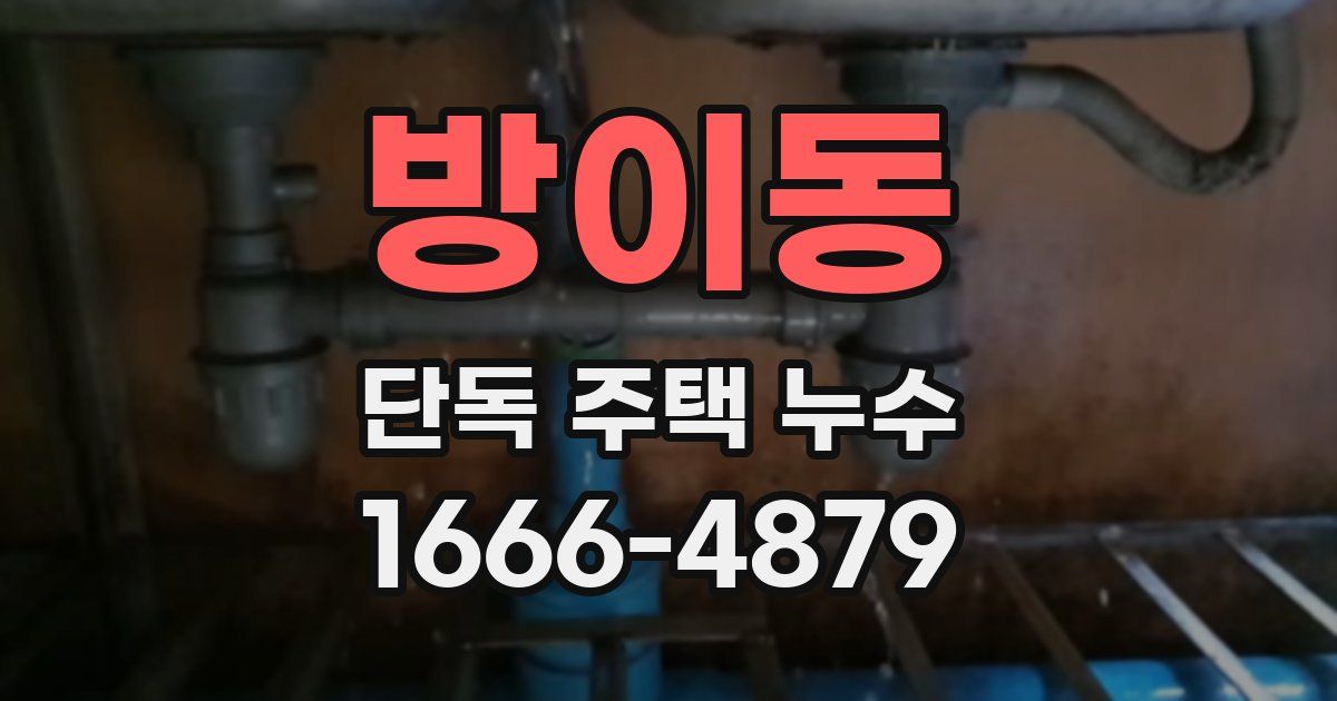 방이동 단독 주택 누수