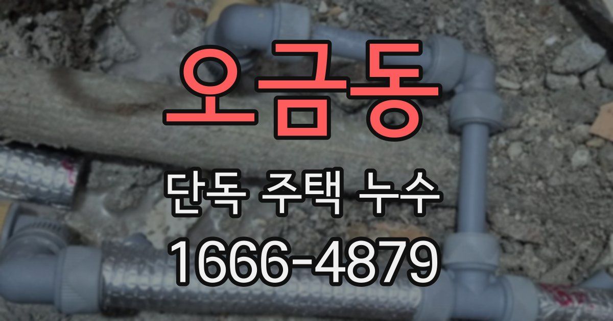 오금동 단독 주택 누수