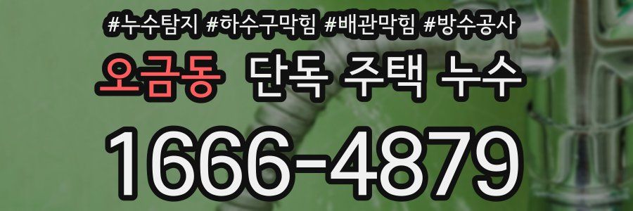 오금동 단독 주택 누수