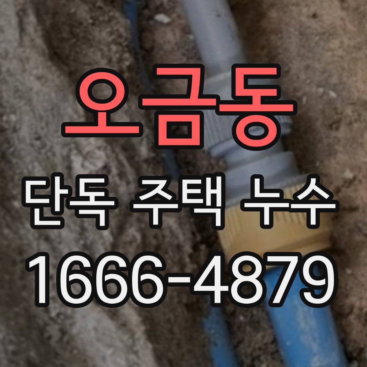 오금동 단독 주택 누수
