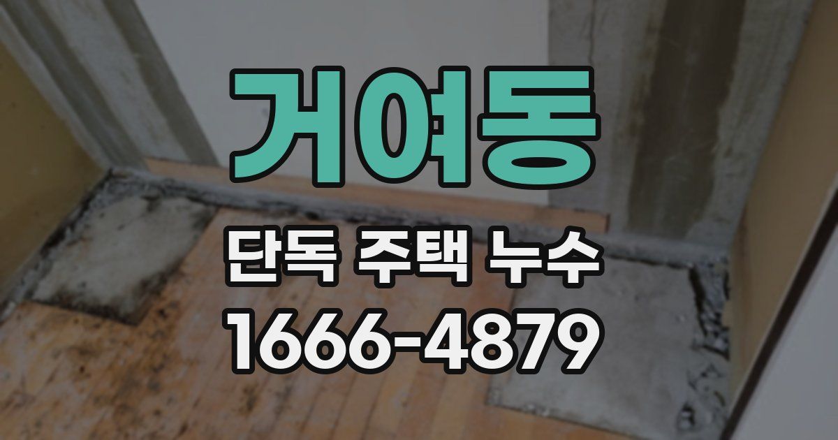 거여동 단독 주택 누수