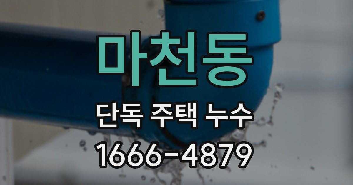 마천동 단독 주택 누수